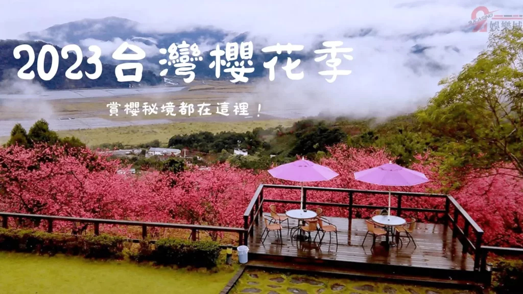 2023台灣櫻花季