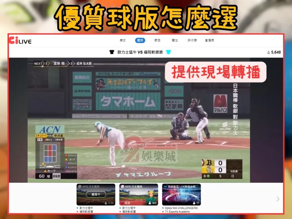 球版種類 球版怎麼選 3A娛樂城
