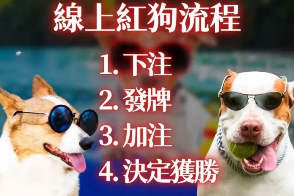 紅狗玩法教學 線上紅狗 紅狗撲克牌賺錢