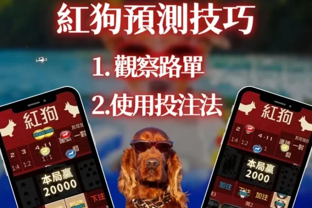 線上紅狗 紅狗撲克牌賺錢 3A娛樂城撲克牌推薦